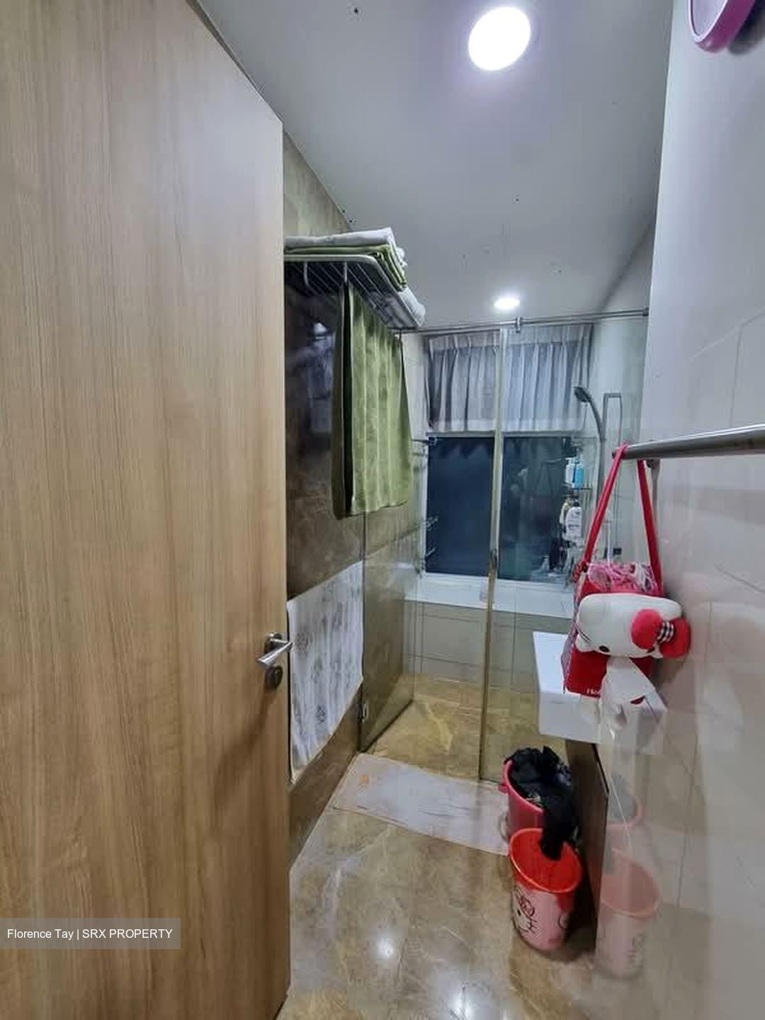 Caspian (D22), Condominium #605955061